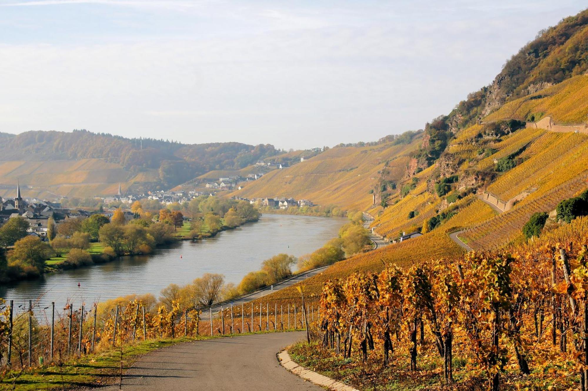 Weingut / Gaestehaus Gerlach Ürzig Eksteriør bilde