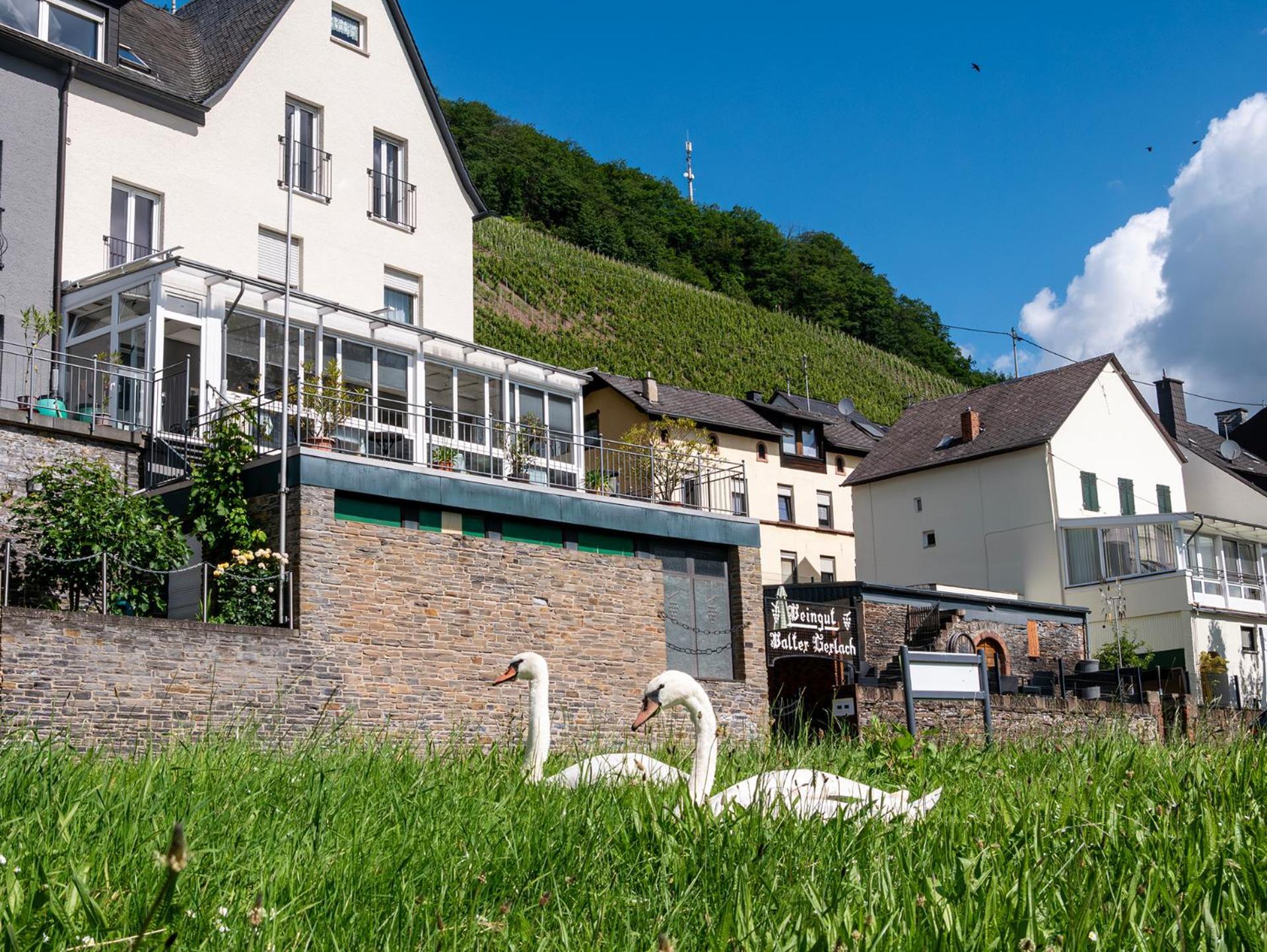Weingut / Gaestehaus Gerlach Ürzig Eksteriør bilde