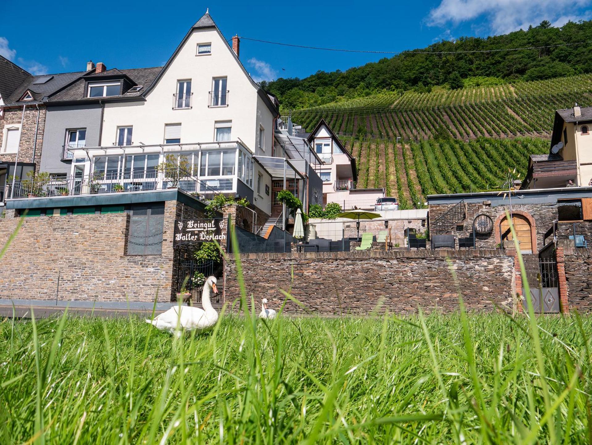 Weingut / Gaestehaus Gerlach Ürzig Eksteriør bilde