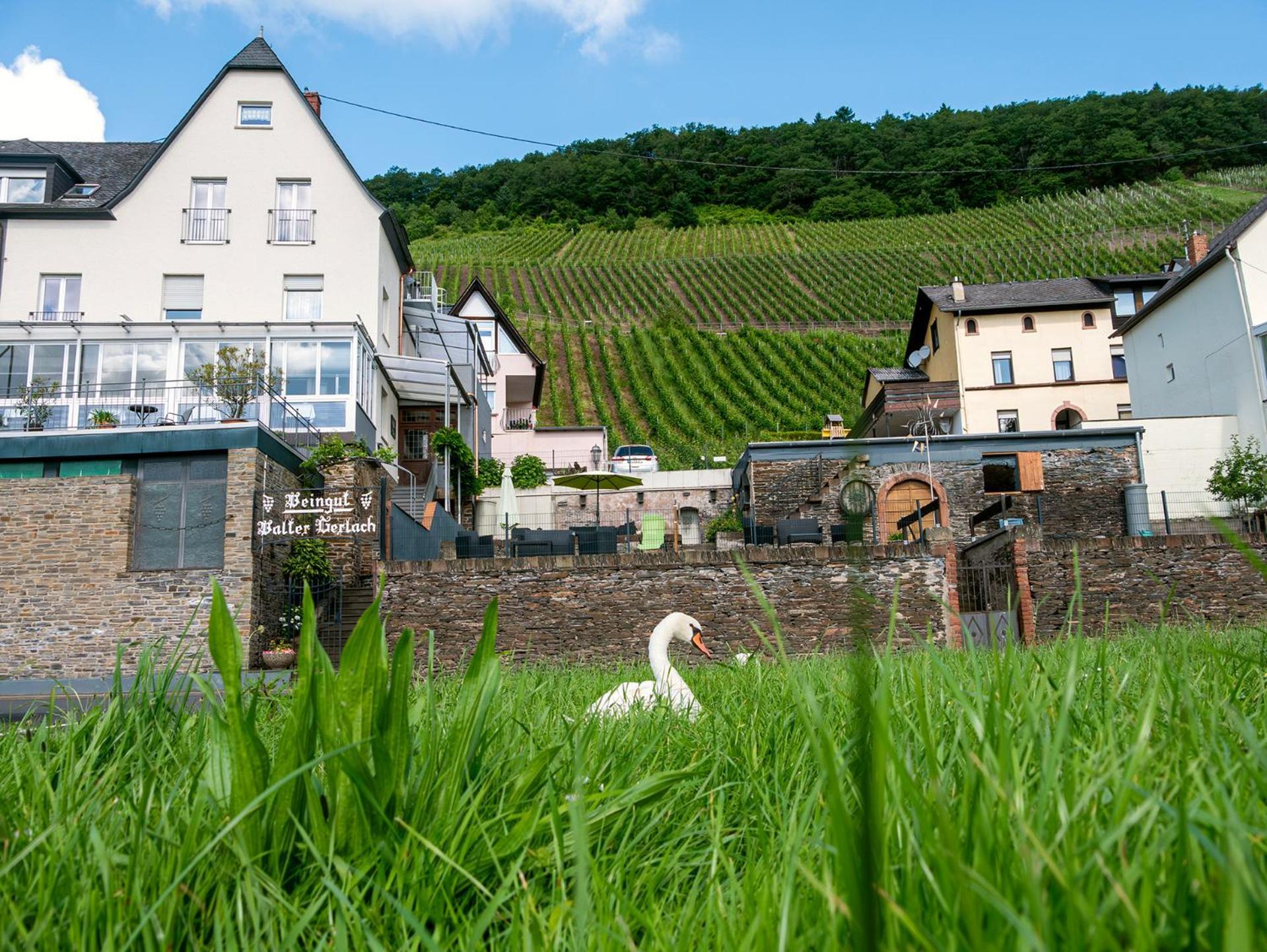 Weingut / Gaestehaus Gerlach Ürzig Eksteriør bilde