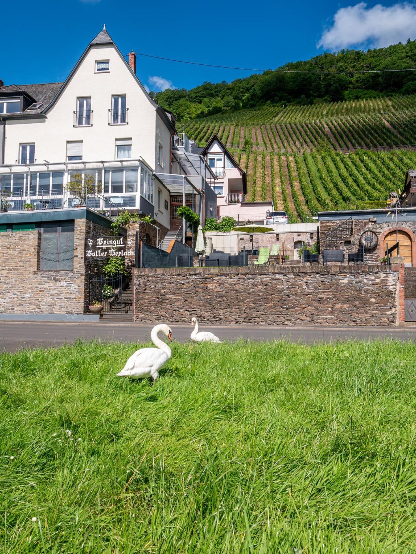 Weingut / Gaestehaus Gerlach Ürzig Eksteriør bilde